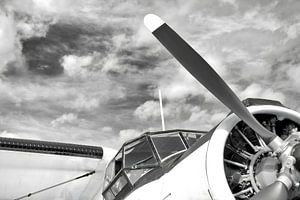 Antonov AN-2 in Schwarz Weiß