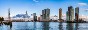 Panorama de la ligne d'horizon de Rotterdam sur Sylvester Lobé