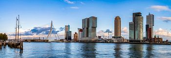 Panorama Rotterdam Skyline