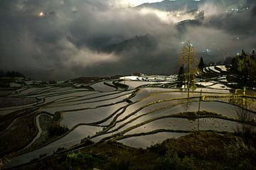 terrassen yunnan van Stefan Havadi-Nagy