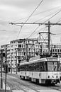Tram 7 in Antwerpen van Ann Barrois thumbnail