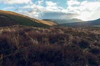 Tongariro Crossing in Neuseeland bei Sonnenaufgang