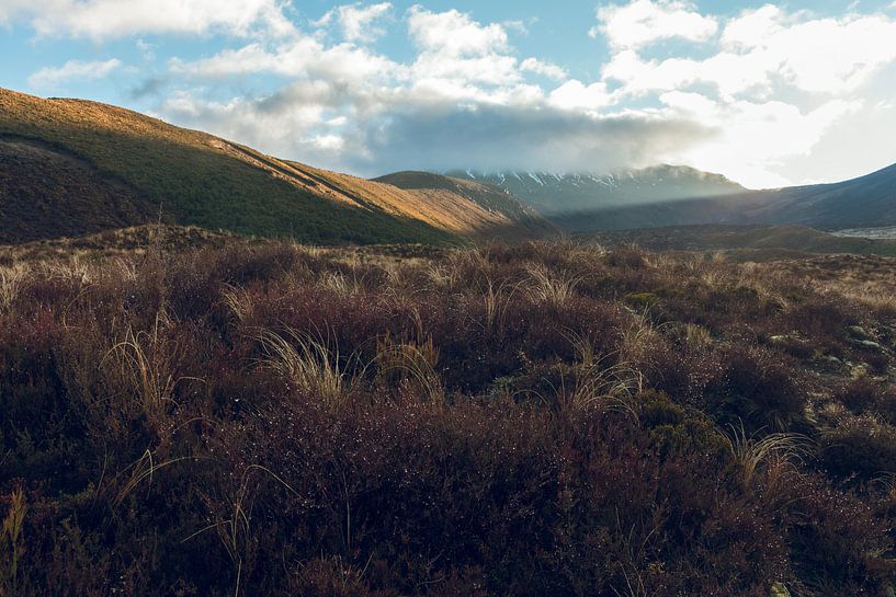 Tongariro Crossing in New Zealand at sunrise by Linda Schouw