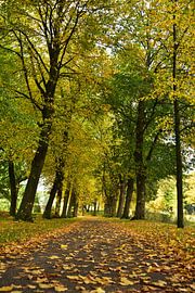 Autumn by Rika Roozendaal