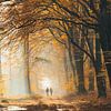 Promenade matinale dans la forêt de Speulders sur Peter Haastrecht, van