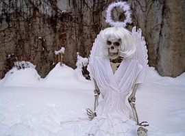 Last angel skeleton of an angel in white snow