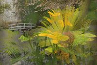 atmospheric collage of flowers and trees