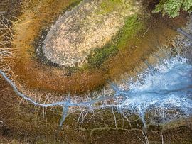 The ponds along the banks of the Loire by Alain Gaymard