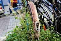 Natuur neemt verroeste fiets over