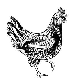 Poster Chicken - fine line illustration - black and white by Studio Tosca