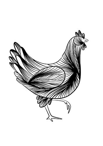 Poster Chicken - fine line illustration - black and white