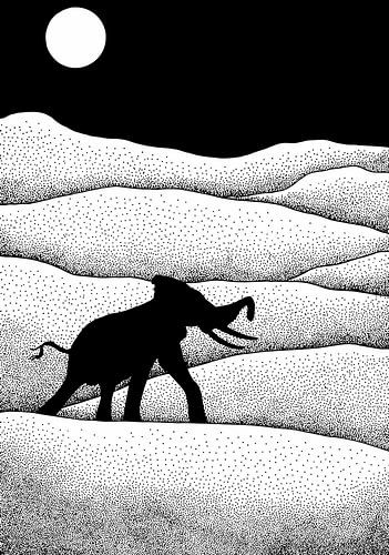 Elephants Dream by Charlotte Hartong