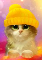 Moustaches et merveilles : Un portrait de chat