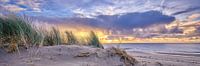 beach and dunes at sunset by eric van der eijk thumbnail