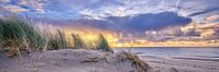plage et dunes au coucher du soleil