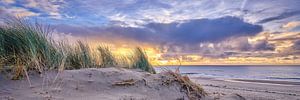 strand en duinen bij een zonsondergang van eric van der eijk