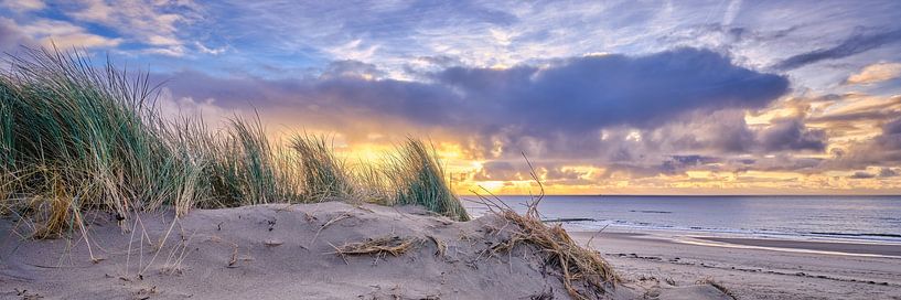 beach and dunes at sunset by eric van der eijk