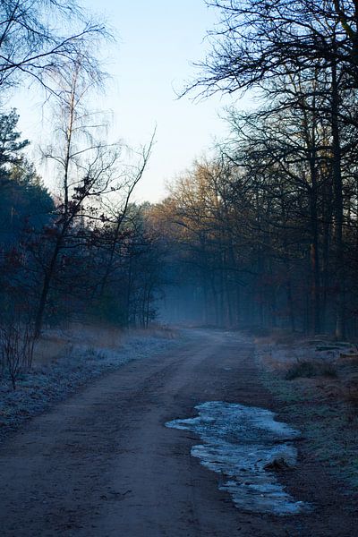 Winter is coming! by Kim Jansen
