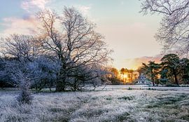 Landgoed Woestduin Vogelenzang van martin slagveld