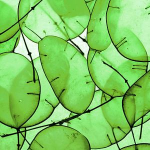 BLATT-WERK-3