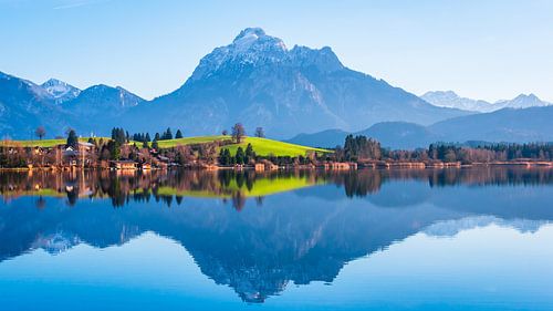 Hops on the lake with mountains in the background