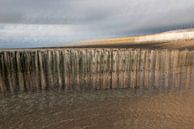 Pile heads in motion by Roland de Zeeuw fotografie thumbnail