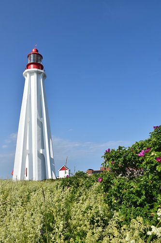 De vuurtoren onder een blauwe hemel