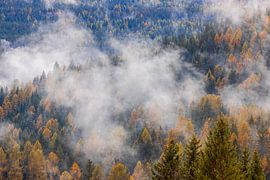 Herbst in den Dolomiten, Italien von Henk Meijer Photography
