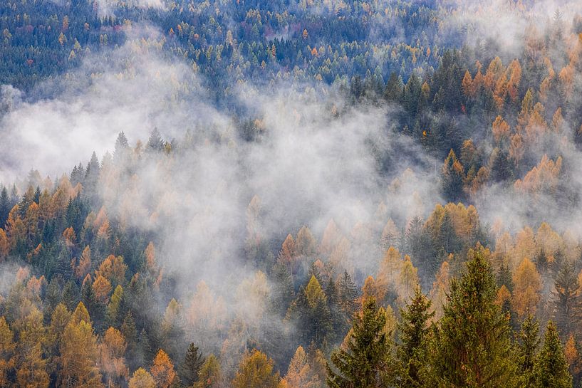 L'automne dans les Dolomites, Italie par Henk Meijer Photography