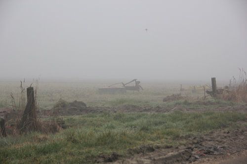 Texel Landschap 043