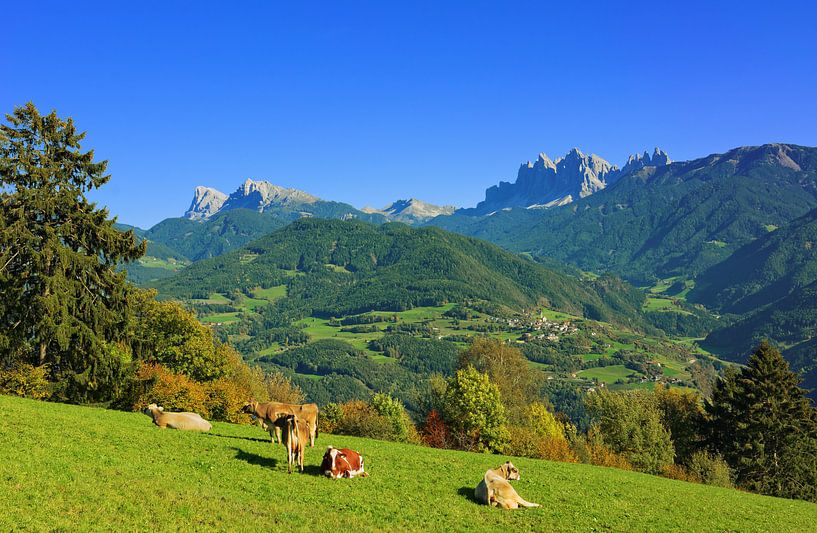 Blick vom Dorf Garn hoch über dem Eisacktal par Gisela Scheffbuch