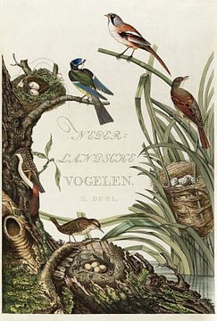 Kaft van Nederlandsche Vogelen, deel 2, Cornelis Nozeman van Teylers Museum
