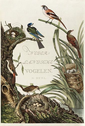 Kaft van Nederlandsche Vogelen, deel 2, Cornelis Nozeman