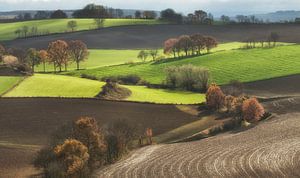 Limburg von seiner besten Seite