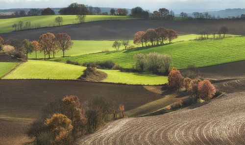 Limburg op zijn best