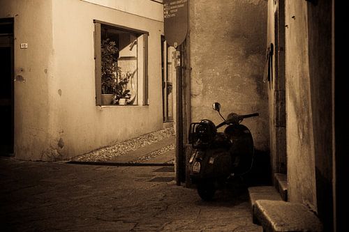 Der Motorroller