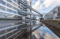 Van Nelle Fabriek in Rotterdam gespiegeld van MS Fotografie | Marc van der Stelt thumbnail