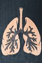 Lungs (3/3) by hou2use thumbnail
