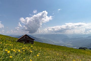 Berghut op de Rigi Zwiserland van Paul Veen