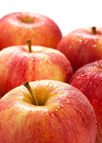 fruit0405a