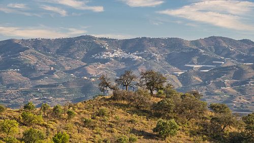 Spanish landscape in the Campo