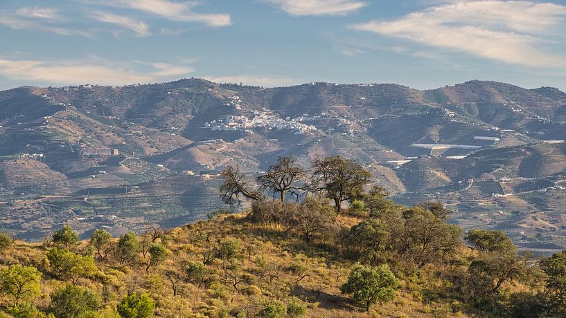 Spanish landscape in the Campo by Simon van Leeuwen