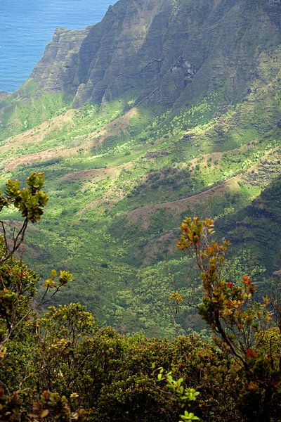Pu'u O Kila Lookout - Kauai / Hawaii by t.ART