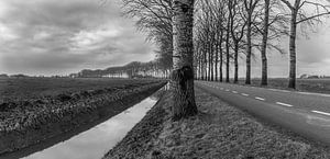 Monochrome Landschaft / B & Amp; W Landschaft