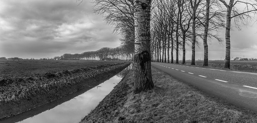 Monochrome landschap / B & W Landscape van Henk de Boer