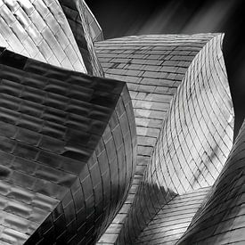 Guggenheim, Bilbao von Nordwin Alberts / Moving Stills