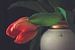 Hangende rode tulp in een klassieke vaas van Gerrit Veldman