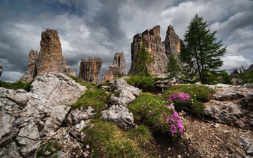 Dolomieten bergtop van Alex Neumayer