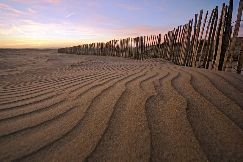 sculpté dans le sable par Dirk van Egmond