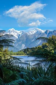 Uitzicht op Lake Matheson, Nieuw Zeeland